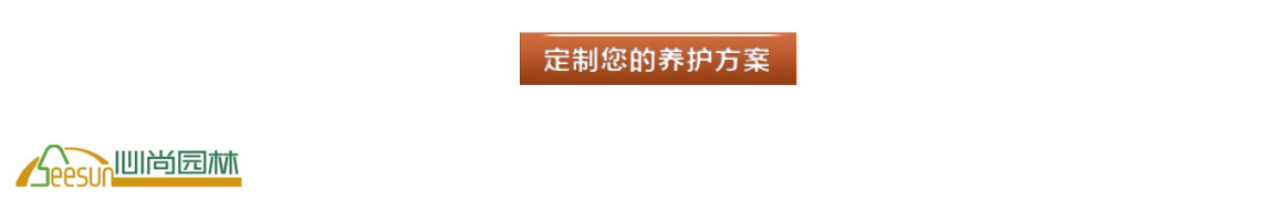 suncitygroup太阳集团·(中国)首页登录