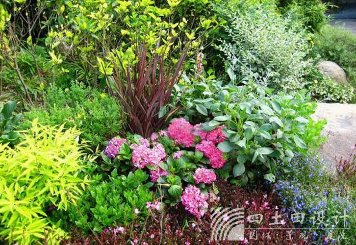 suncitygroup太阳集团·(中国)首页登录