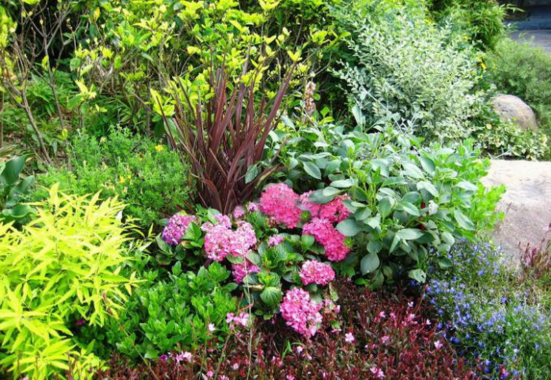 suncitygroup太阳集团·(中国)首页登录