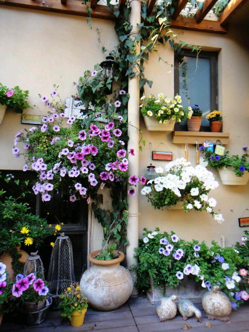 suncitygroup太阳集团·(中国)首页登录